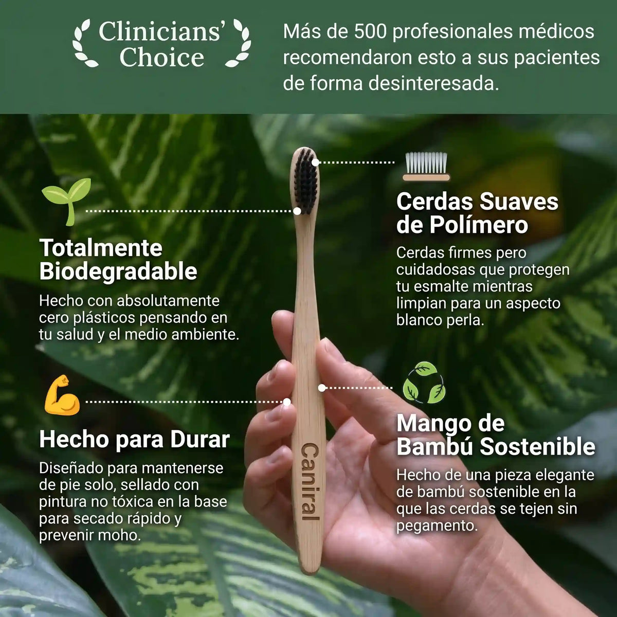 Cepillos de Bambú