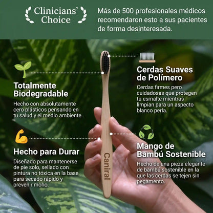 Cepillos de Bambú