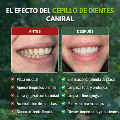 Cepillos de Bambú